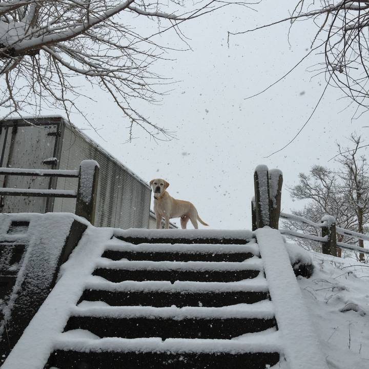 27126daa 3a69 4fcf 9814 30dbcf385940