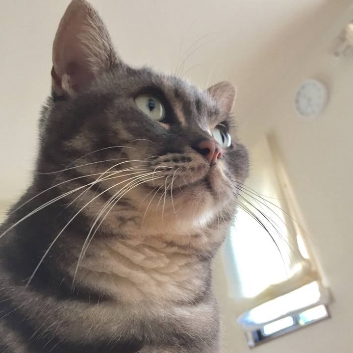 27138abc 9d5d 4033 8704 eab0fdf4db99