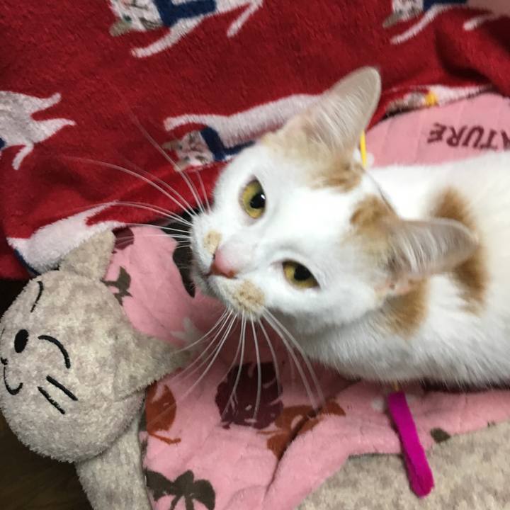 2713d09a c126 4018 9af6 48e7573ab203