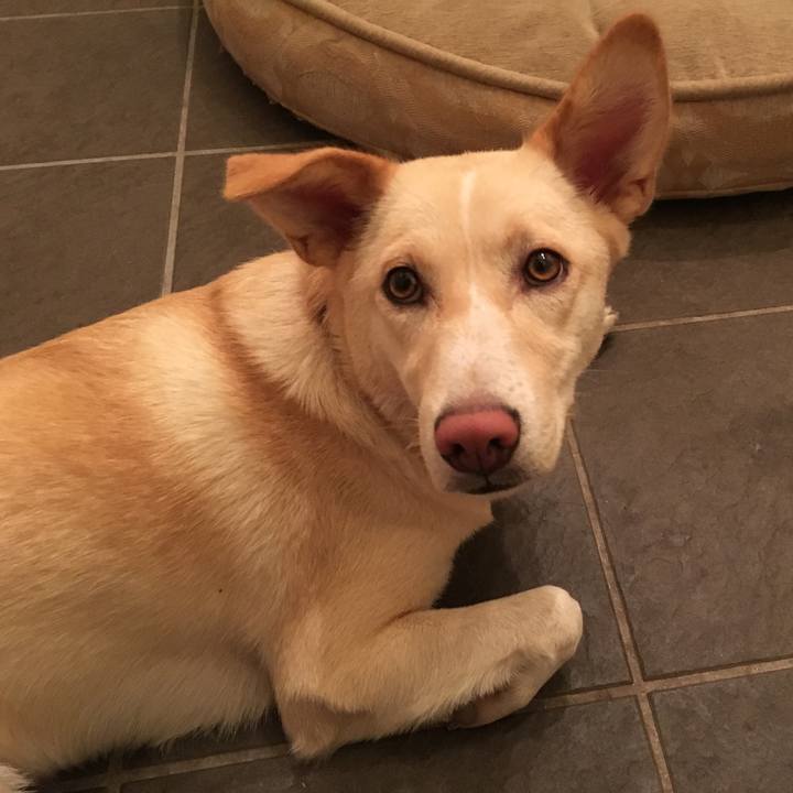 27146c04 802e 41fc 9515 94561288b0d6