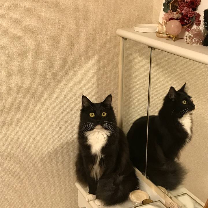 2714bbdb 8579 4746 9084 fa253cdfb06e