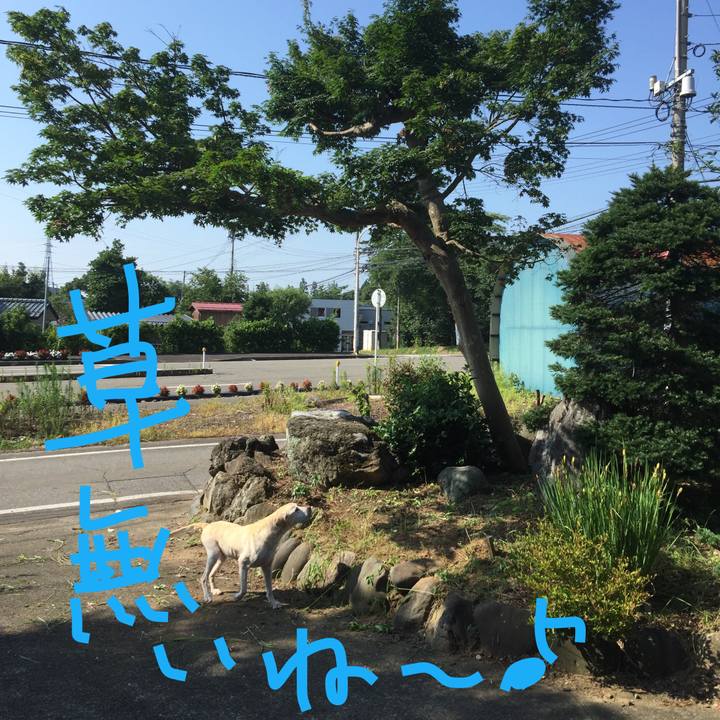 2714e943 17cd 453b 931b 94413b5e7d9c