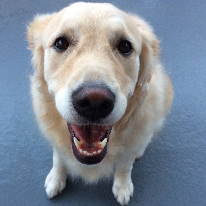 27158edd abea 42c8 8054 4786004ac4c3