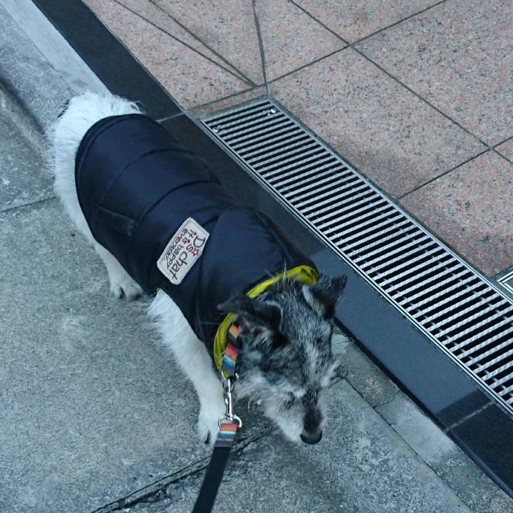 2715ca0c cdd6 42c0 867d 7a3ff6d7dea5