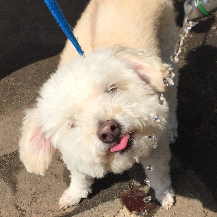 2715d937 276b 4b3e a44c 727c494cc2f8