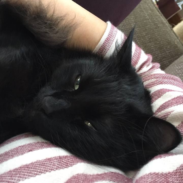 27161384 d128 45aa 89cd c9cf12205697