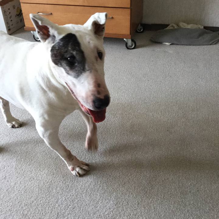 27162ea0 5d25 46e7 b569 5e7ecac23f20