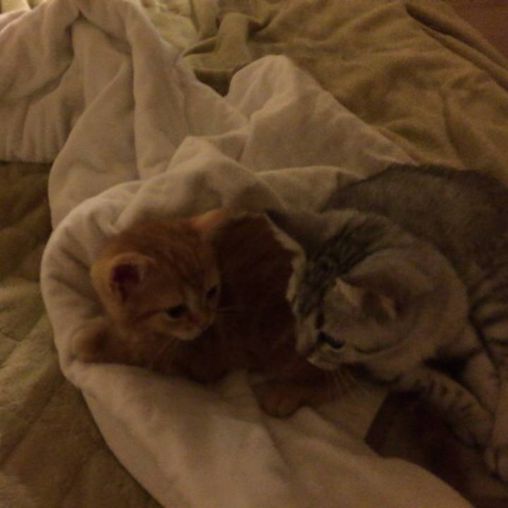 27164d4c e45e 4351 923c 513f5d8551a5