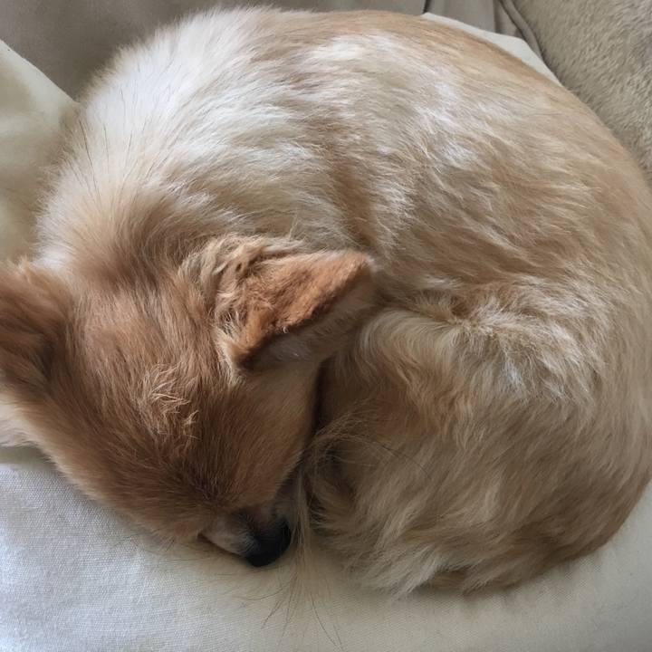 27165f72 ed60 4f8f 851f 7d72aca9c34b