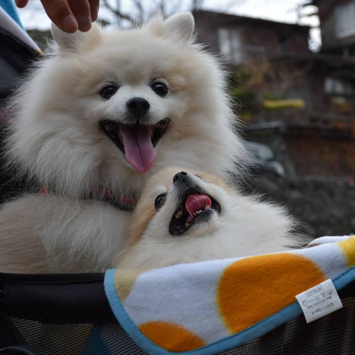 2716c02c 432e 4767 9920 8d901718e1e1