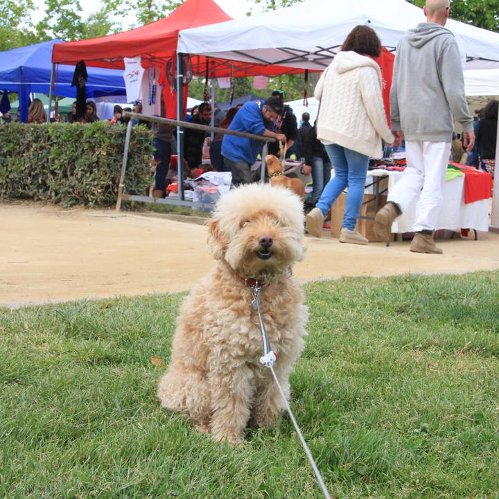 27171272 b7ce 406c bae8 ae8dd421b0ca