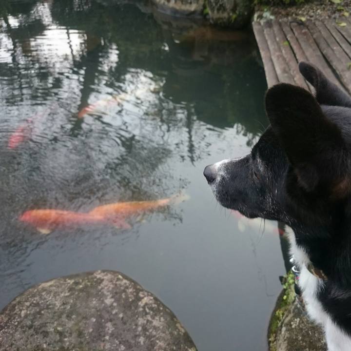 27175483 ca69 4c80 a8c2 76d1a832737f