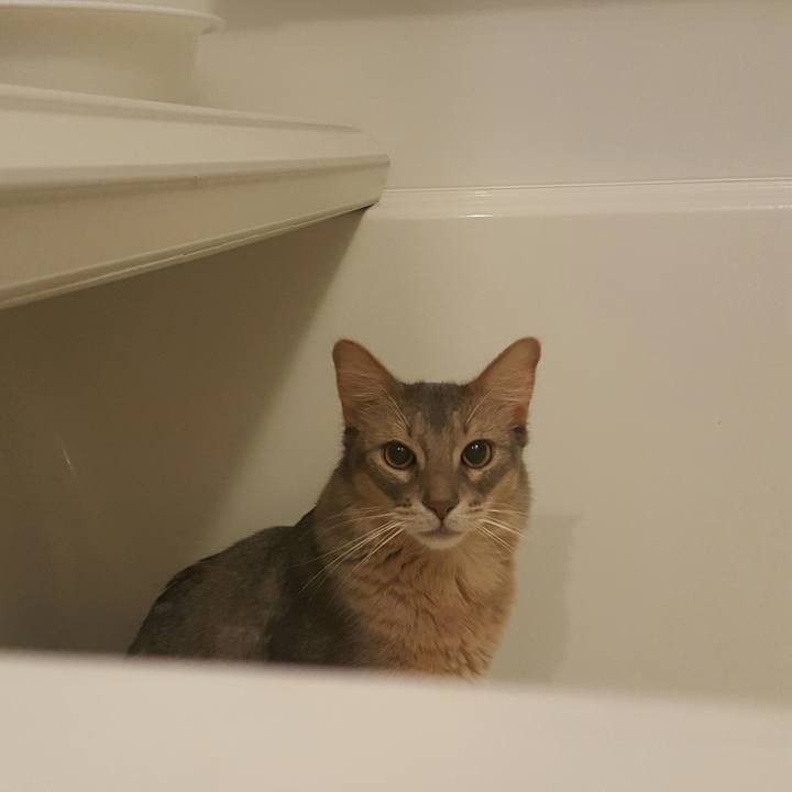 27176307 2635 4e9d a8fc 87002c22db25