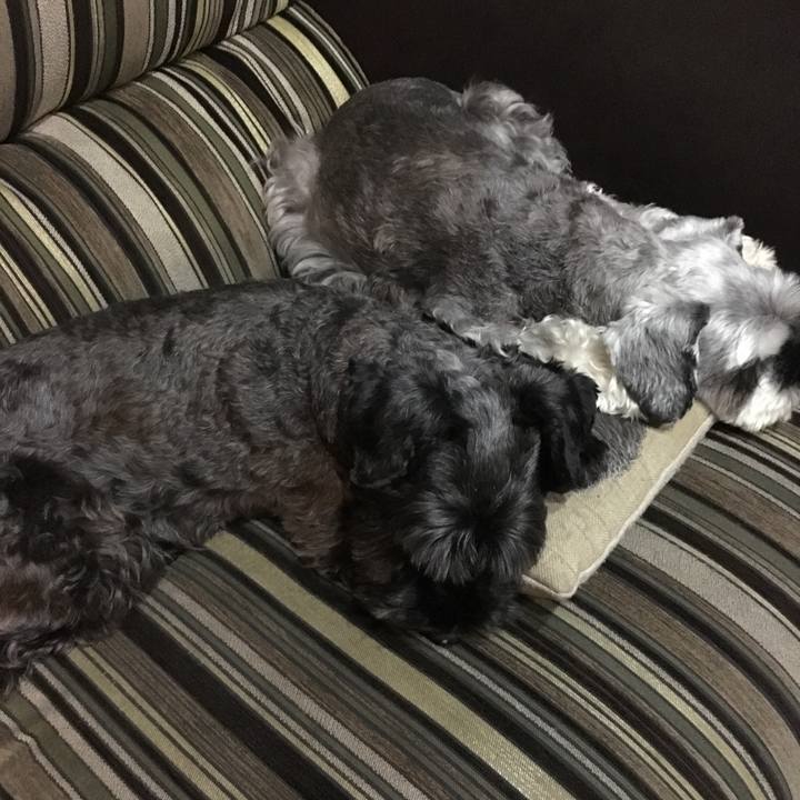 271798d6 9afe 45fb 9d08 5f08104890ae