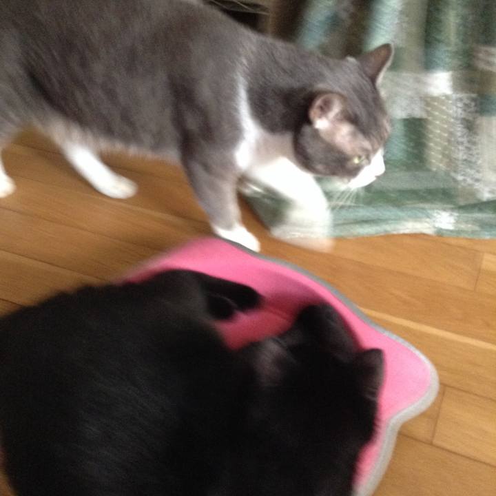 2717c45a e7ef 4947 9854 f516b8f97395