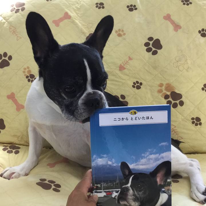 2717e740 2b47 4ec0 9d04 1d993ec5b858