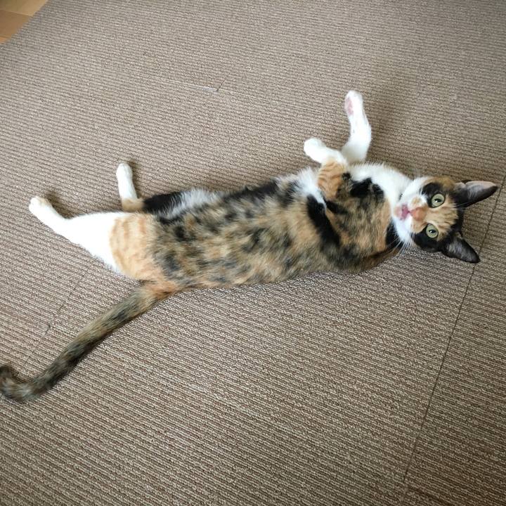 2718105c 67b9 4d73 9cb6 829cab28b2a2