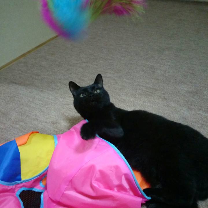 2718692a 46c0 4e7b 8f35 451bea40510e