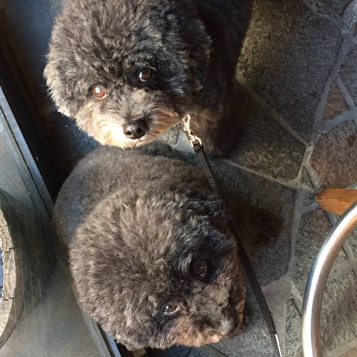 2718a562 7540 4783 84a7 f0565cbaadd5