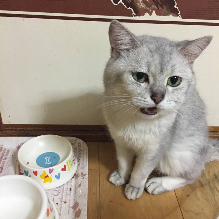 2718f142 55c8 4f00 9d91 01a5e9f8371f