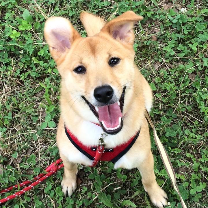 2719847a 71c6 46db b525 44ed5ed9bbb2