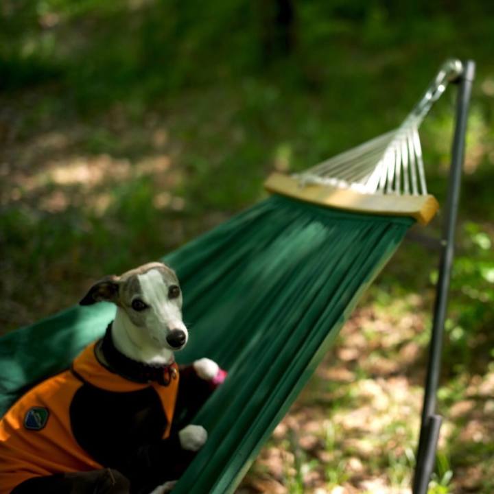 27199637 14fe 4e20 8658 2c173a4e3242