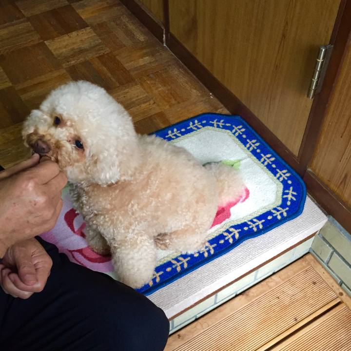 2719b552 6818 4e8d 8165 8e5c2c6eb8ae