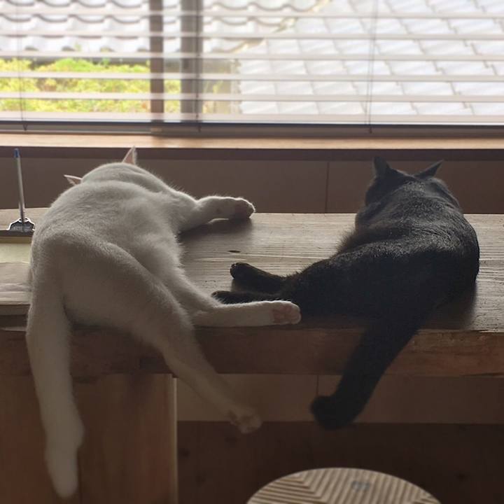 2719ed36 fd87 40ad a0a6 ed938a0909b8