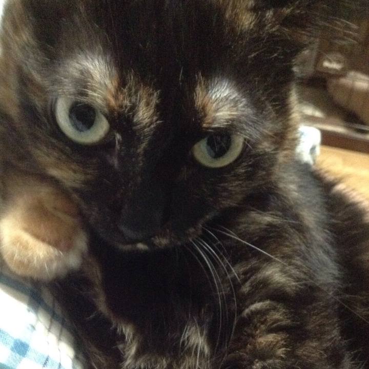 271a7f4e cbc1 41bf 9fe8 8a47f4092391