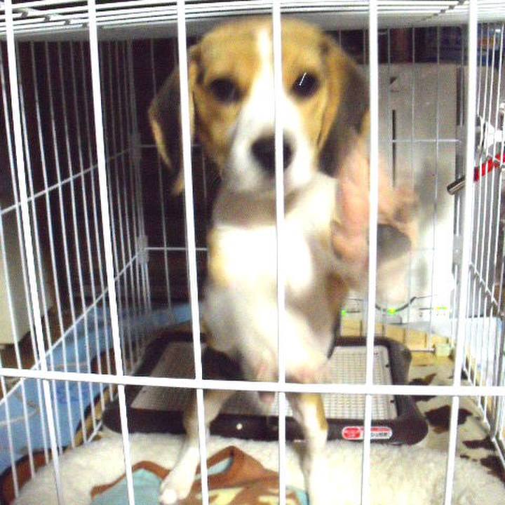 271b0068 7da5 4e87 974c 2362ddf40238