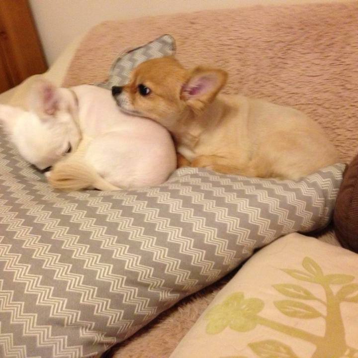 271b2b2d fd30 4cce b103 16fff2891286