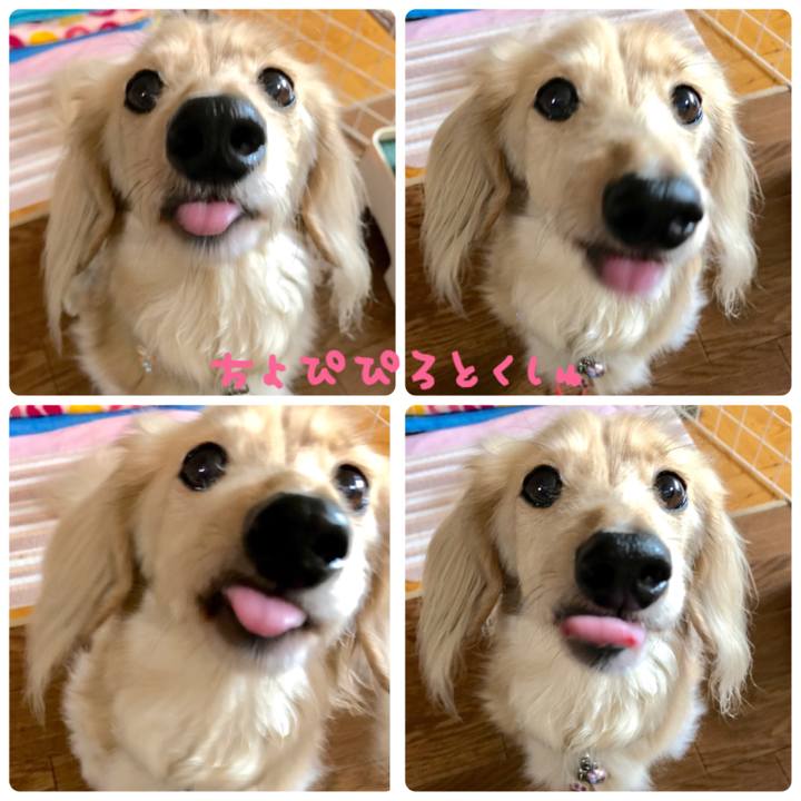 271bd1d5 f2cf 4983 ab6a 3934b714d770
