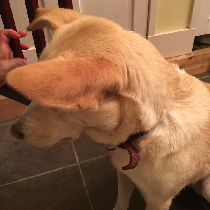 271cf96d ca2d 40b7 911c 5891f1157e8a