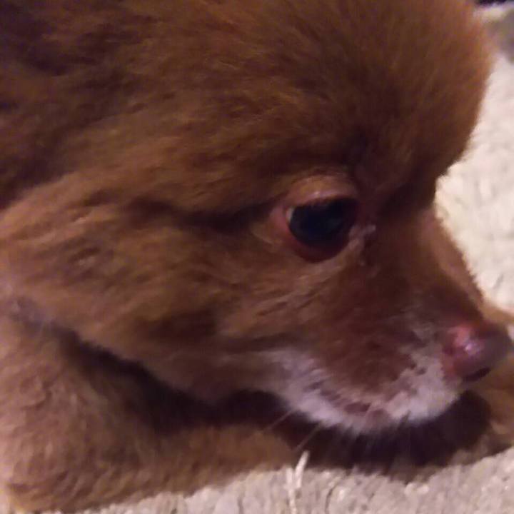 271d36f5 fb6e 460c bfd8 52e21c128b4b