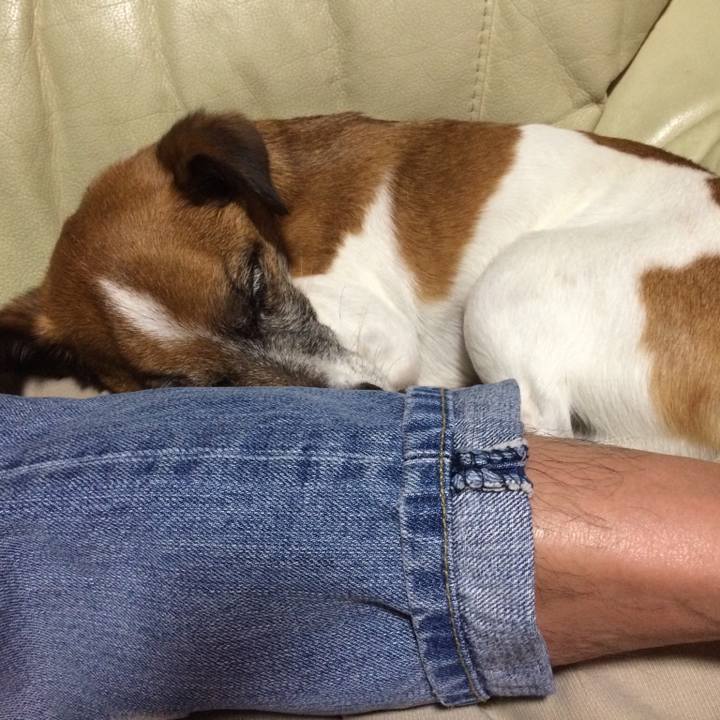 271d42d0 4d22 47af 950a ca92727d0d2a