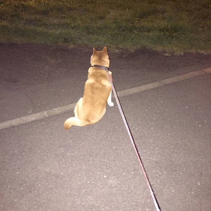 271df4aa 781a 401a 89dc f45289e8ef5d