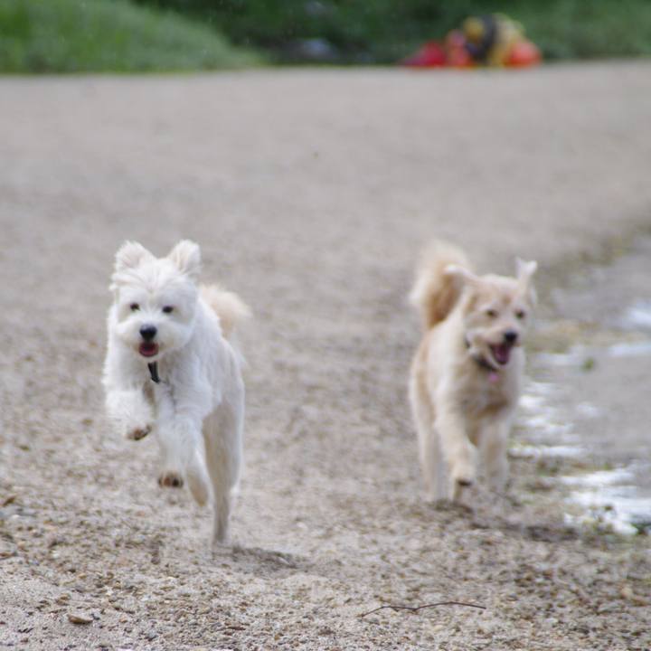 271f18f1 97ae 4009 9906 5e239fdc7ded