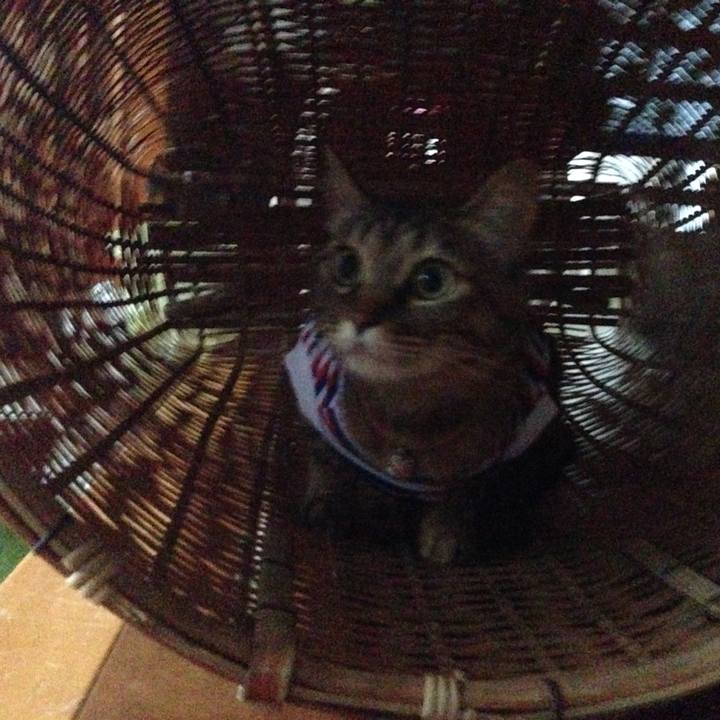 271f1ccd d889 4a24 8896 8b3a57df2052