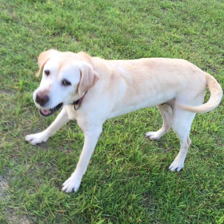 2720b29f 71ee 4cb8 a9f9 05b0230368aa