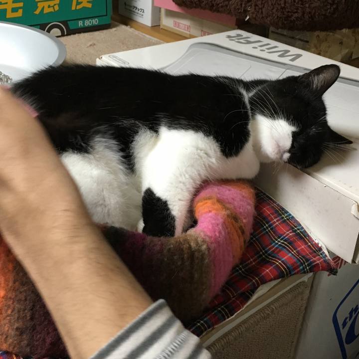 2721fee2 8df3 42dd b53c 790b307618b1