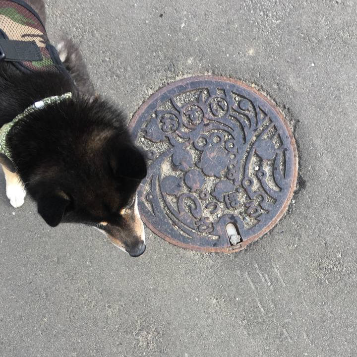 27229ae6 e11c 4623 9b5b d965914a17a6