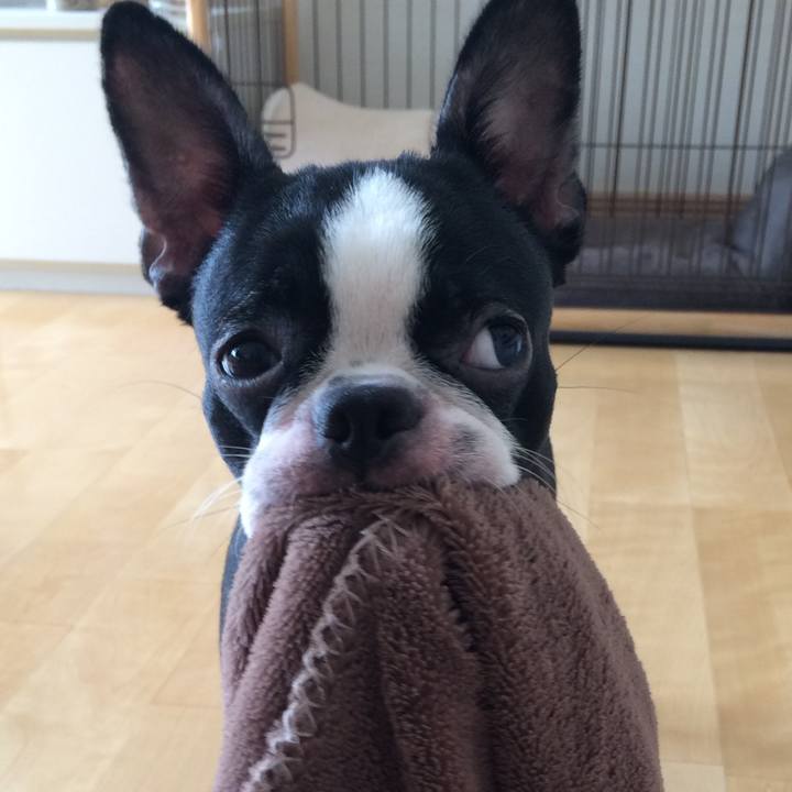 272363f7 70d1 45c3 b381 c67a0005306d