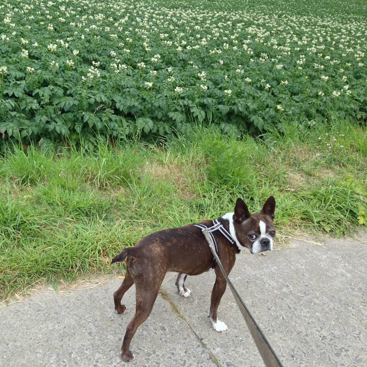 27237480 ecf3 41be 8f96 29dae2a1e6ad