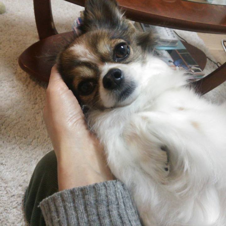 27243e1f 22db 45b1 bad6 256cf38bcc18