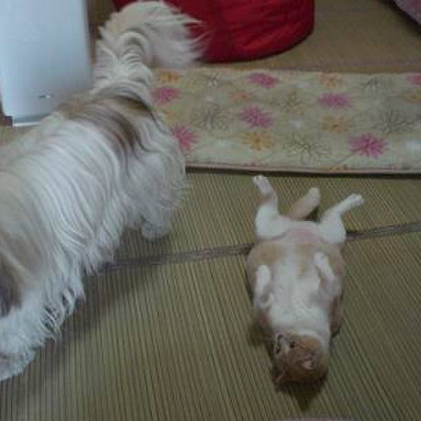 27247e16 932f 4a3f 960b 8ec164ae738a