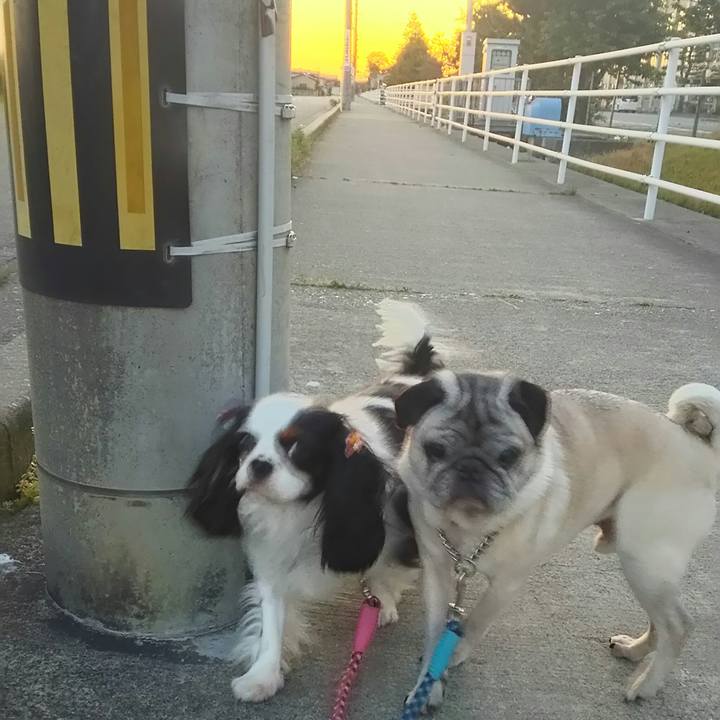 2724921d f4db 43ee b7d2 d61f03d5cfa0