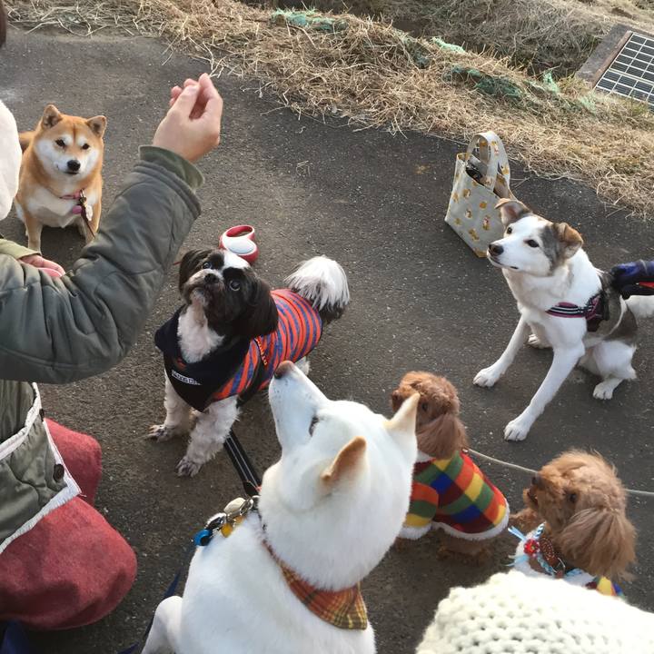 27255057 c03d 4daa 8043 012564271516