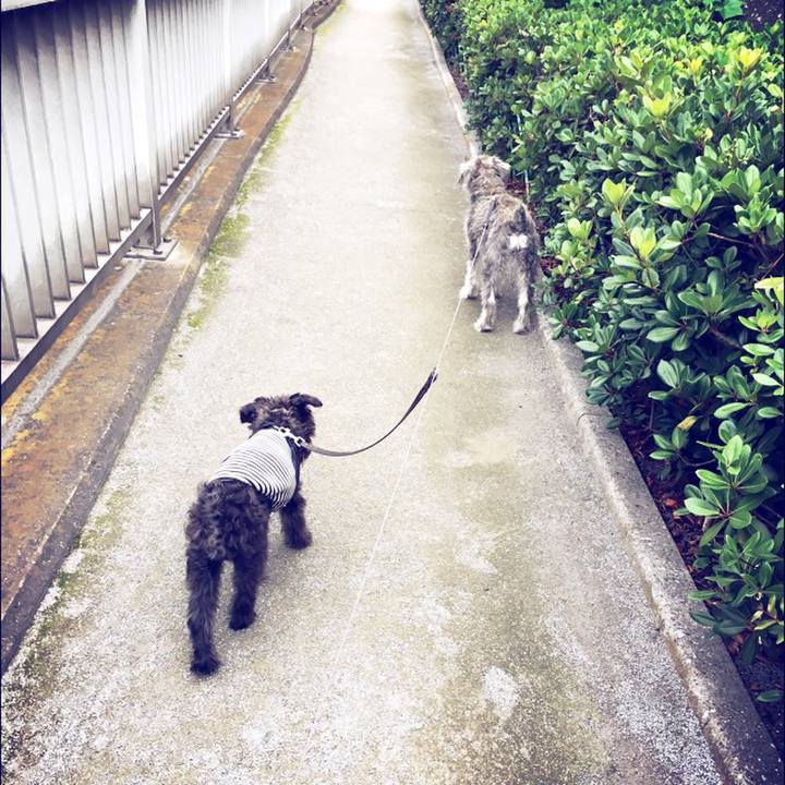 27256deb 46ab 4177 bec8 1a27cbe92241