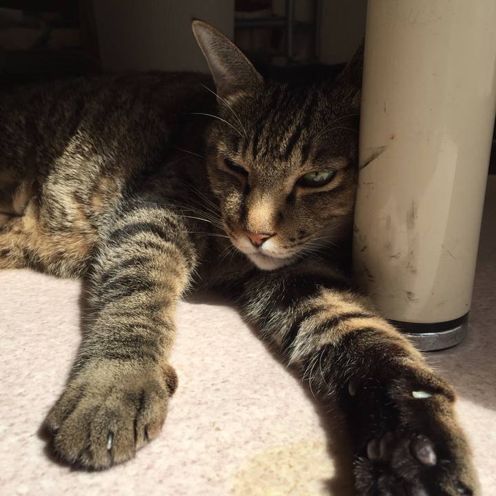 272572a7 cee9 47ff 8850 806121fa8e6c