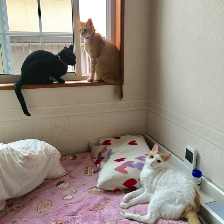 27257f45 9c93 4b90 9f7f 83cd81d06a2c